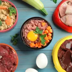 Co ugotować dla psa, aby zapewnić mu zdrową i smaczną dietę?