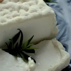 Ser kozi pleśniowy: wyjątkowe smaki i sekrety produkcji