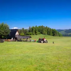 Bacówka u Wojtka - tradycyjne sery i niezapomniane widoki