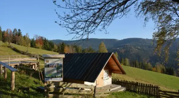 Bacówka Wisła - idealne miejsce na relaks w Beskidzie Śląskim