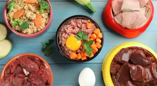 Co ugotować dla psa, aby zapewnić mu zdrową i smaczną dietę?