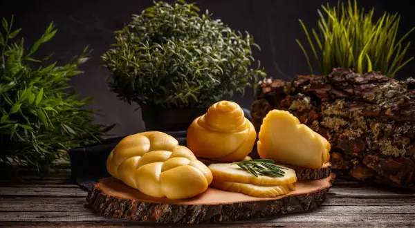 Jak zrobić kozi ser wędzony - krok po kroku z najlepszymi trikami
