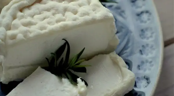 Ser kozi pleśniowy: wyjątkowe smaki i sekrety produkcji