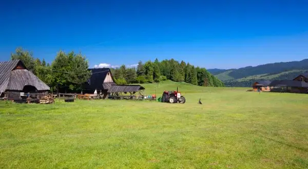 Bacówka u Wojtka - tradycyjne sery i niezapomniane widoki