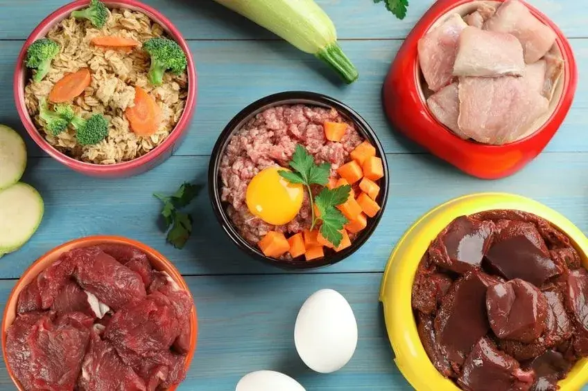 Co ugotować dla psa, aby zapewnić mu zdrową i smaczną dietę?