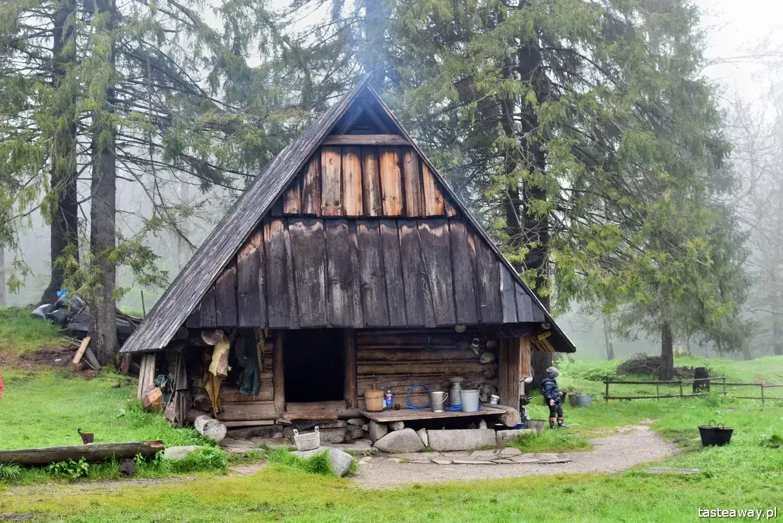 Zdjęcie Bacówka pod Reglami - tradycyjne oscypki i unikalne doświadczenia