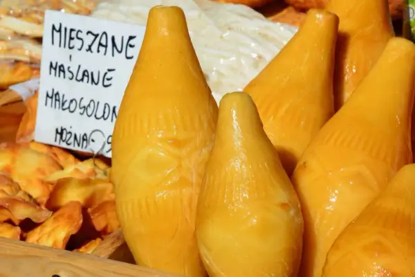 Z jakiego mleka robi się oscypki? Odkryj tajemnice tradycyjnego sera